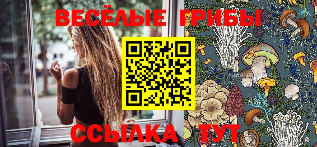 Урус-Мартан  Галлюциногенные грибы мицелий  Вход с VPN 
